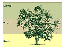 aboretum_tree.jpg