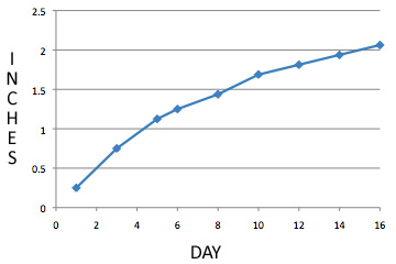 leaf_growth_chart5_16.jpg