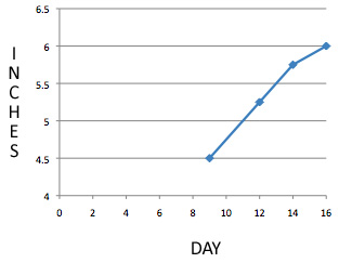 leaf_growth_lg-_chart5_16.jpg