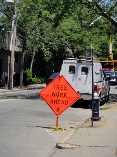 tree_work_ahead.jpg